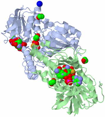 Image Asym./Biol. Unit