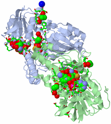 Image Asym./Biol. Unit - sites