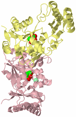 Image Biological Unit 2