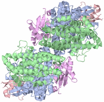 Image Biological Unit 1