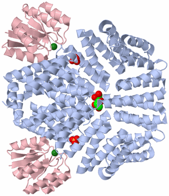 Image Biological Unit 1