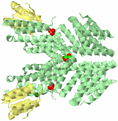 Image Biological Unit 2