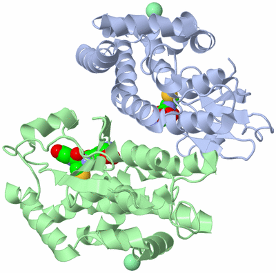 Image Asym./Biol. Unit