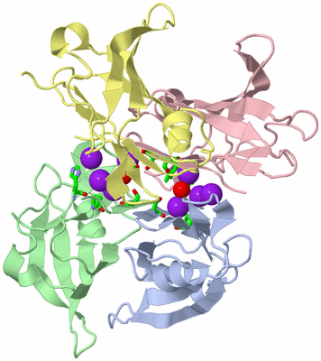 Image Asym./Biol. Unit - sites