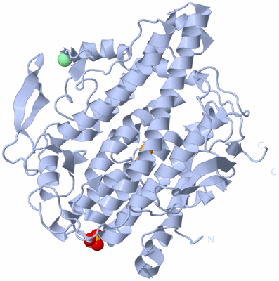 Image Biological Unit 1