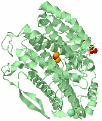 Image Biological Unit 2