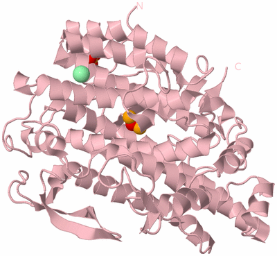 Image Biological Unit 3