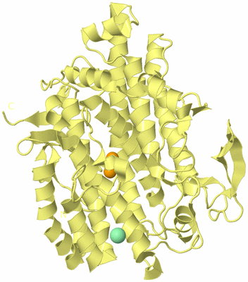 Image Biological Unit 4