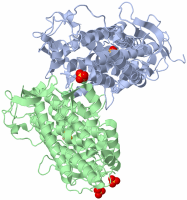 Image Biological Unit 5