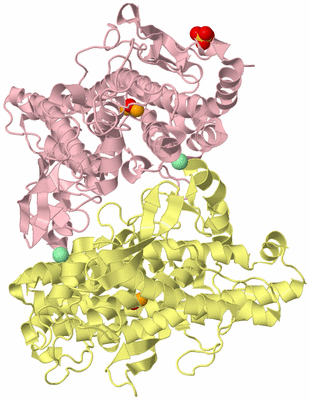Image Biological Unit 6