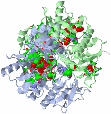 Image Biol. Unit 1 - sites