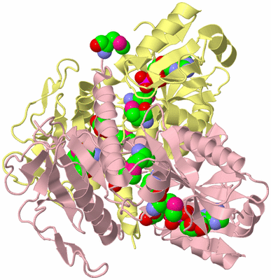 Image Biological Unit 2