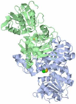 Image Biological Unit 1