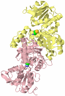 Image Biological Unit 2