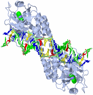 Image Biological Unit 1