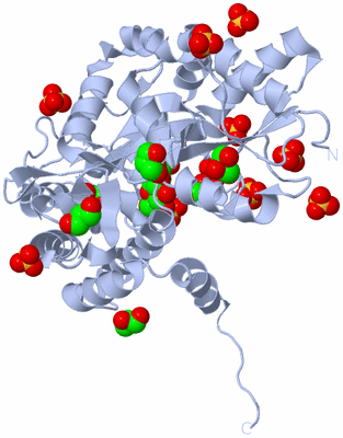 Image Biological Unit 1