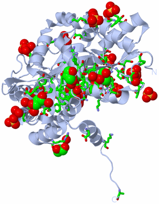 Image Biol. Unit 1 - sites