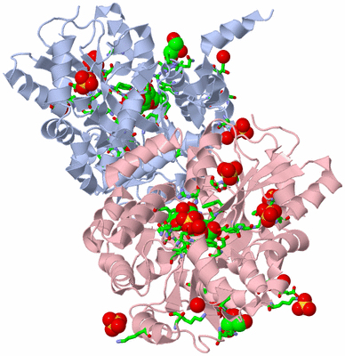 Image Biol. Unit 1 - sites