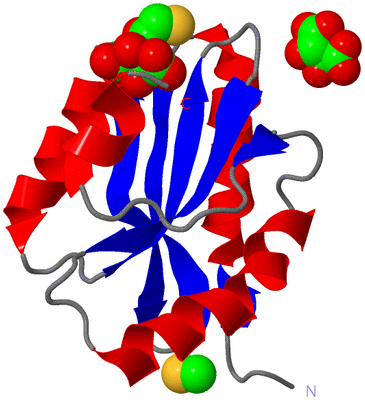 Image Asym./Biol. Unit