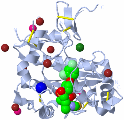 Image Biological Unit 1