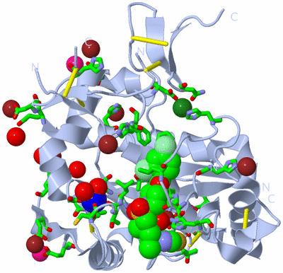 Image Biol. Unit 1 - sites