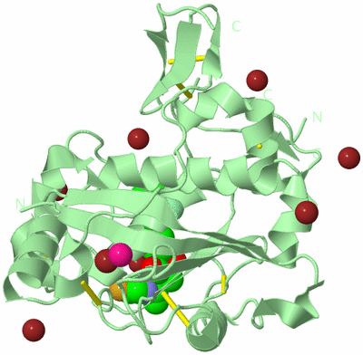 Image Biological Unit 2