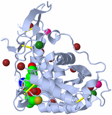 Image Biological Unit 1