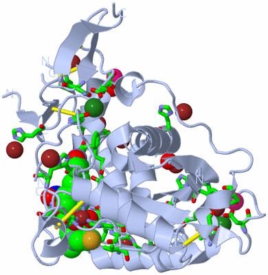 Image Biol. Unit 1 - sites