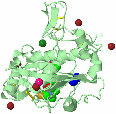 Image Biological Unit 2