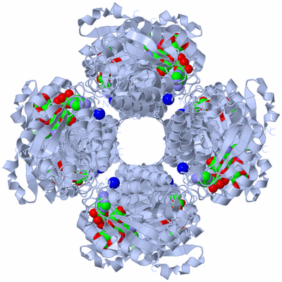 Image Biological Unit 1