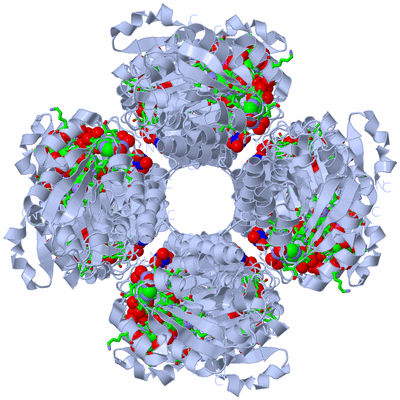 Image Biol. Unit 1 - sites