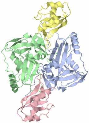 Image Asym./Biol. Unit