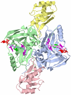 Image Asym./Biol. Unit