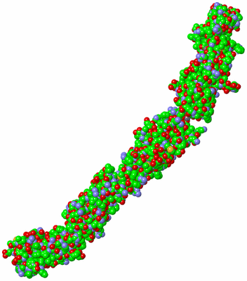 Image Asymmetric Unit