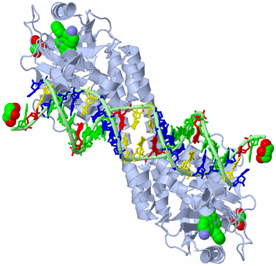 Image Biological Unit 1