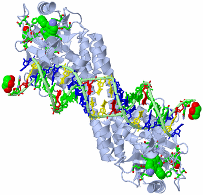 Image Biol. Unit 1 - sites