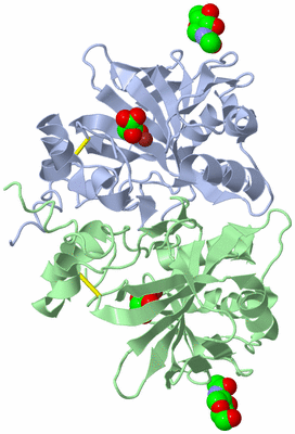 Image Asym./Biol. Unit