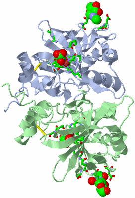 Image Asym./Biol. Unit - sites