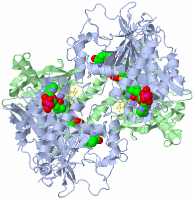 Image Biological Unit 1