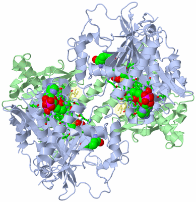 Image Biol. Unit 1 - sites