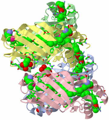 Image Asym. Unit - sites