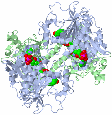 Image Biological Unit 1