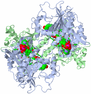 Image Biol. Unit 1 - sites