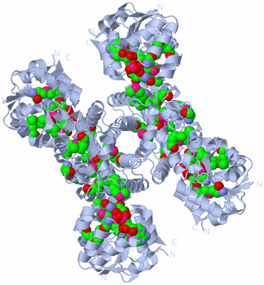 Image Biological Unit 1