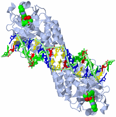 Image Biological Unit 1