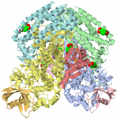 Image Asym./Biol. Unit