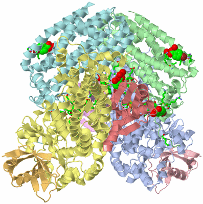 Image Asym./Biol. Unit - sites