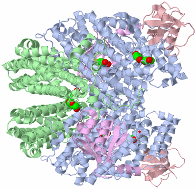 Image Biological Unit 1