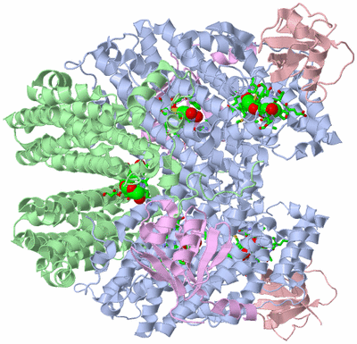 Image Biol. Unit 1 - sites