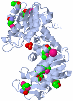 Image Biological Unit 1